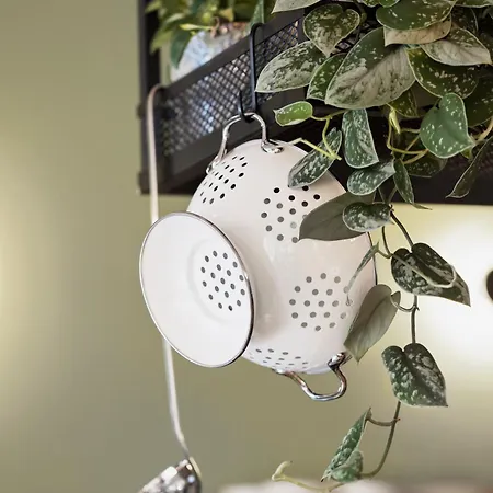 Kooook - Online Check In ベルン