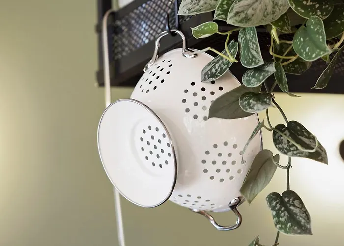 Kooook - Online Check In Bern